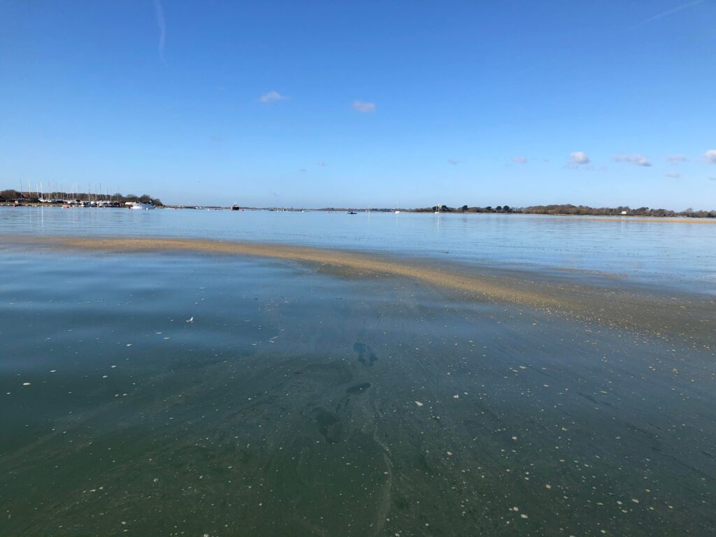 Water quality in Chichester Harbour