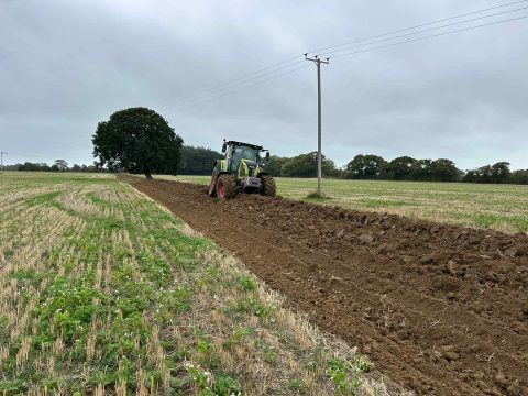 Beetle Bank in construction