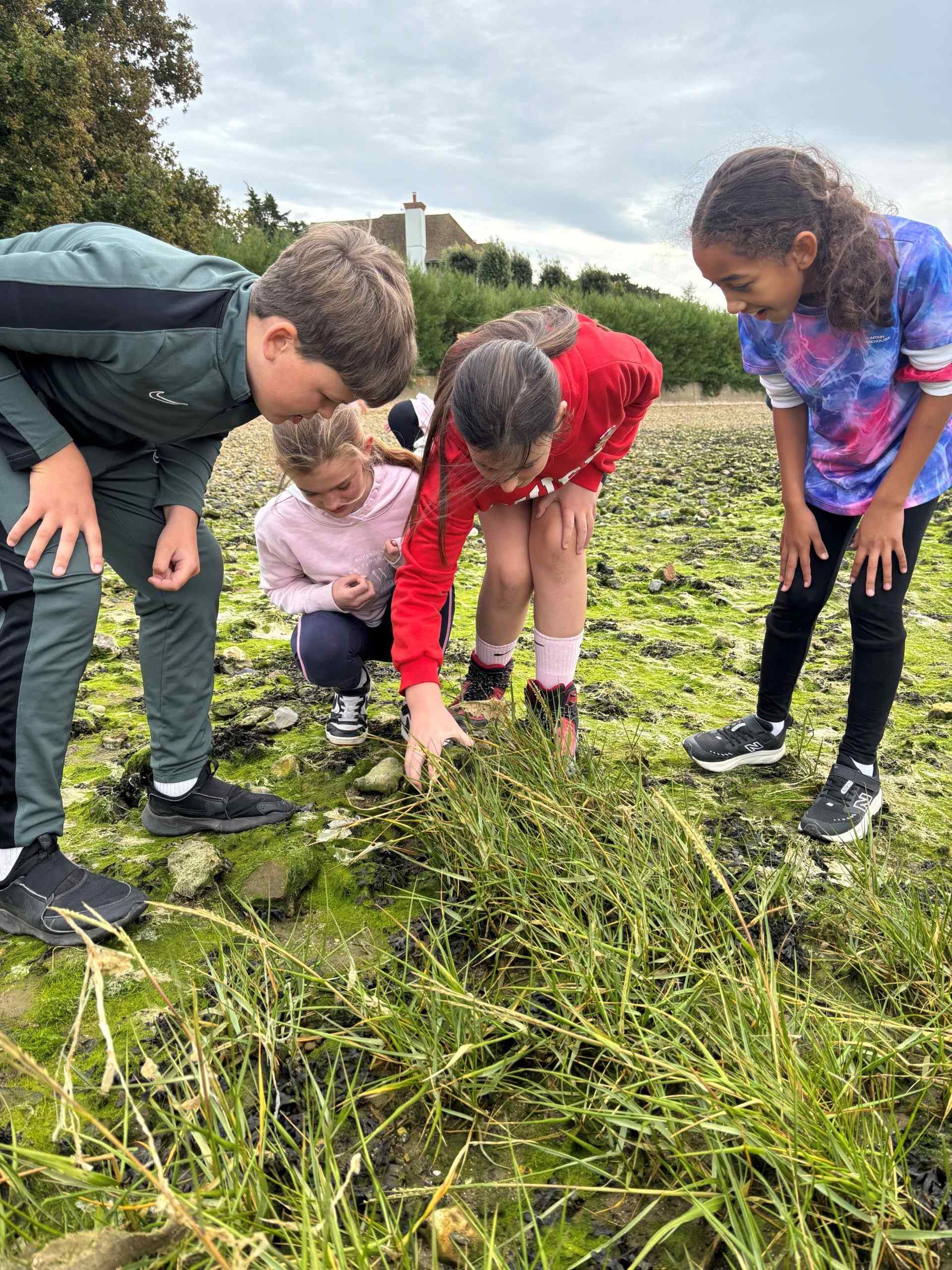 Children on educational field trip in Chichester Harbour