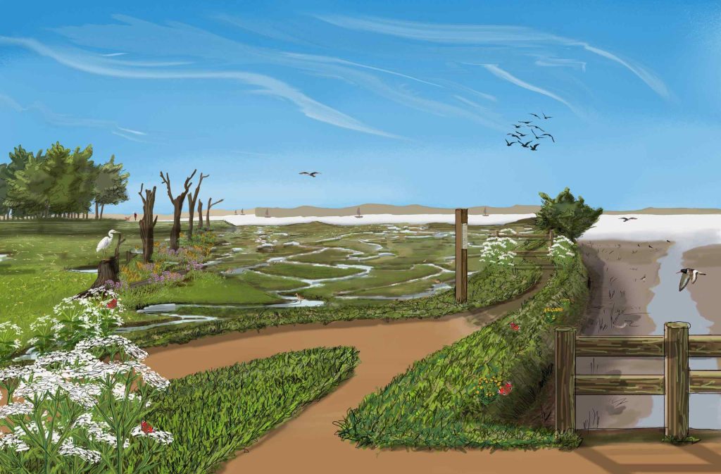 Fishbourne Foothpath Graphic