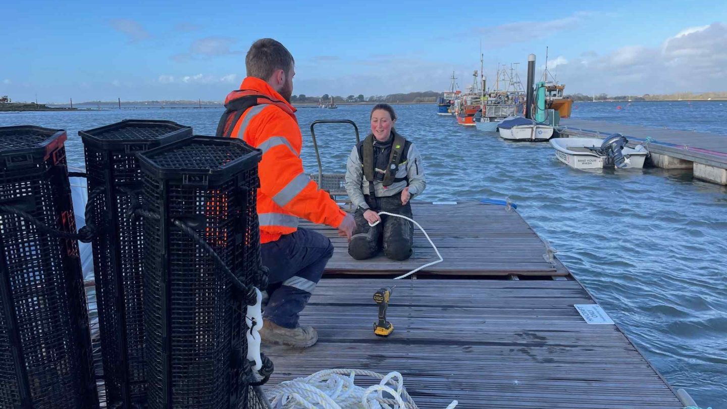 Installing oyster cages in Chichester-Harbour