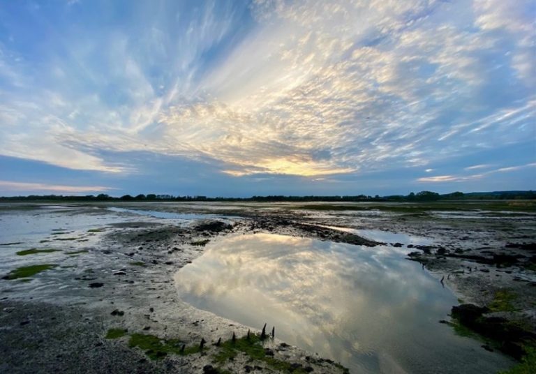 Mudflats Chichester Harbour Conservancy