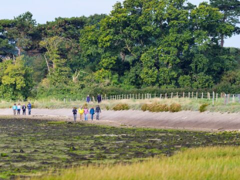 Walkers at Langstone - Paul Adams