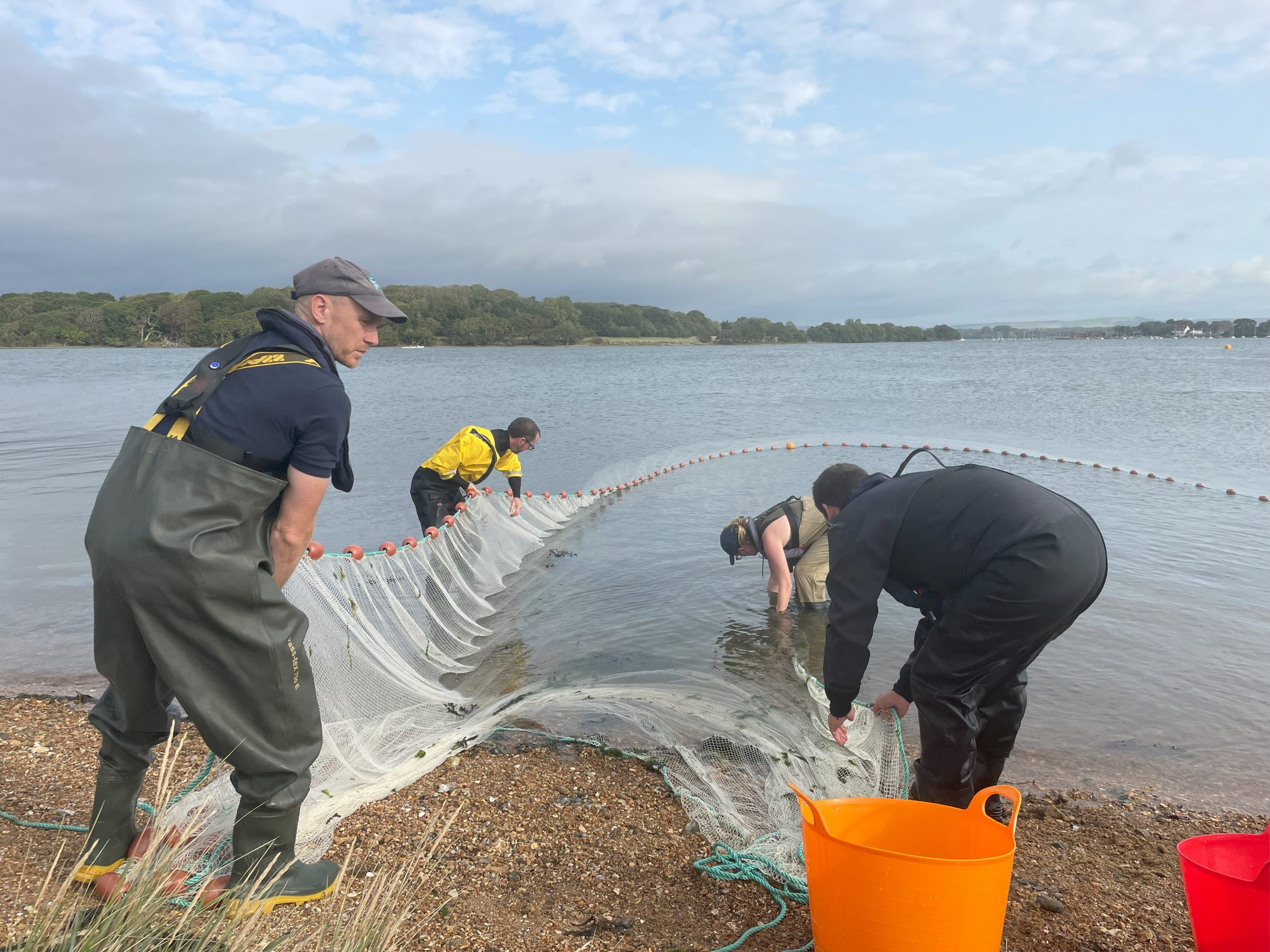 Surveying Small Fish - Chichester Harbour Conservancy