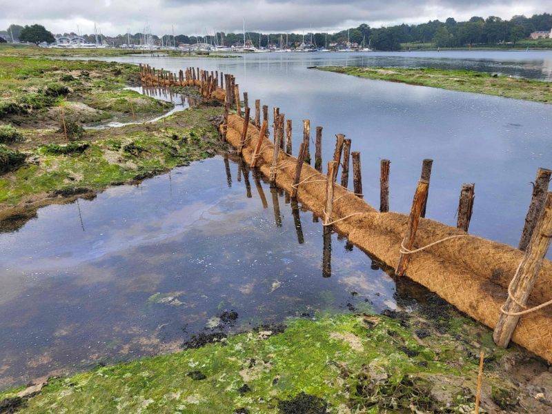 Saltmarsh sausages