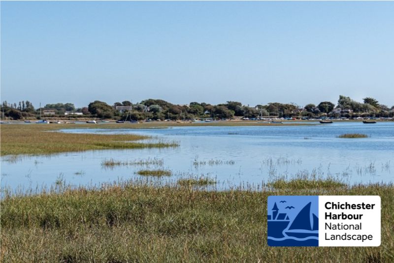Saltmarsh