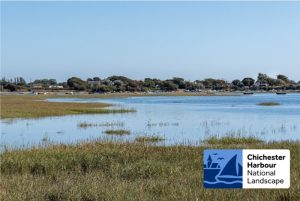 Saltmarsh-with-NL-Logo-