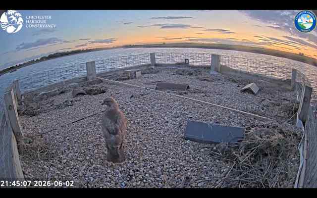 Camera view of Tern Rafts