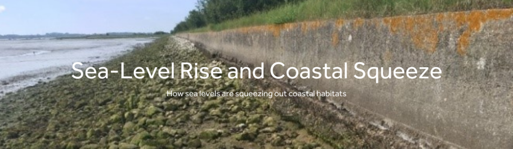 sea level rise and coastal squeeze