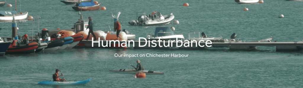 Human Disturbance