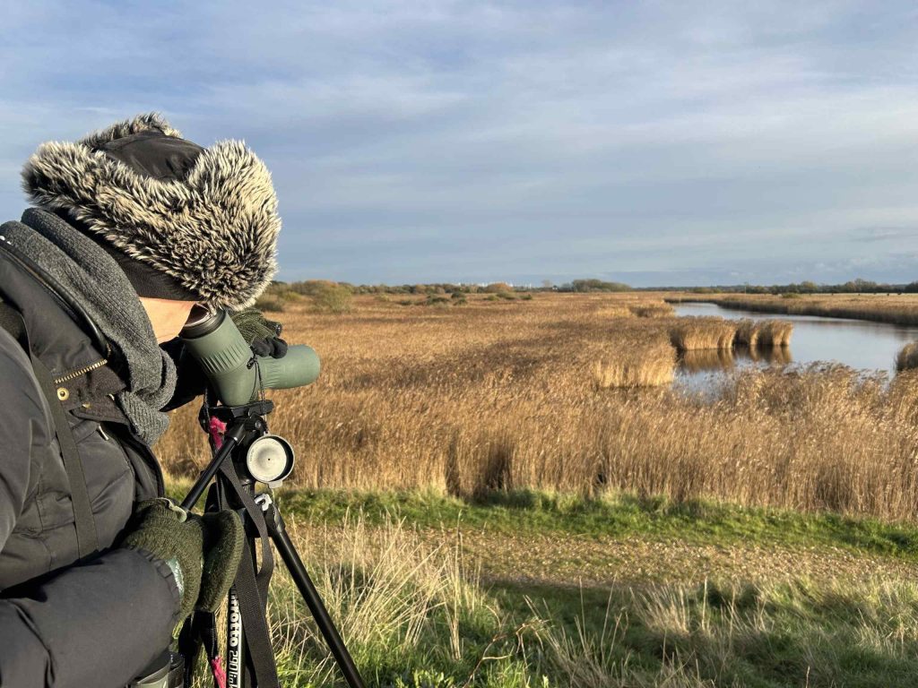 Wetland Bird Survey