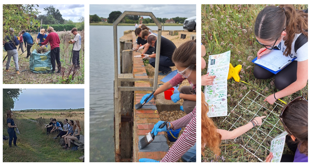 Young people undertaking work experience in Chichester harbour
