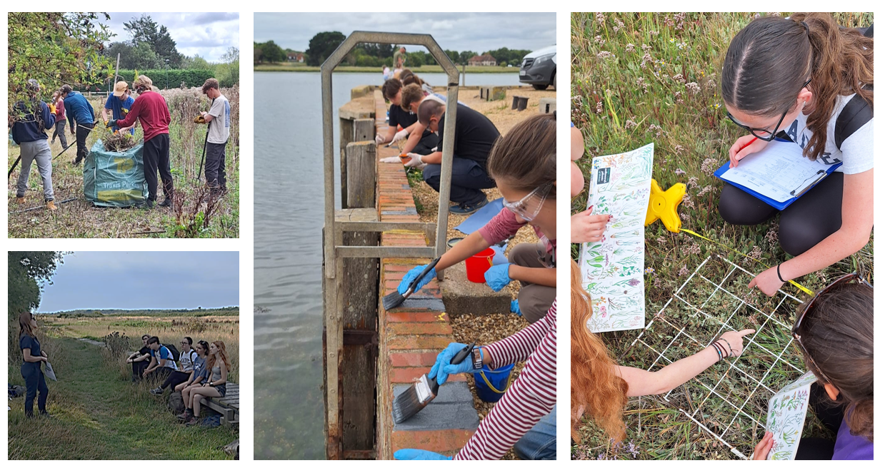 Young people undertaking work experience in Chichester harbour